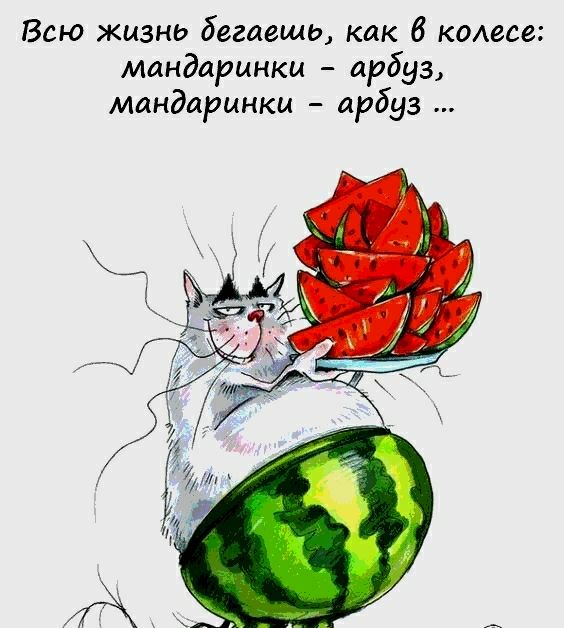 Всю жизнь бегаешь как 6 киеве мандарин жи арбуз мандаринкц арбуз