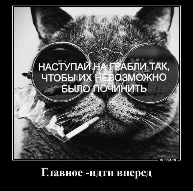 Главное 1ТП вперед