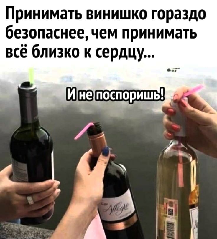 Принимать винишко гораздо безопаснее чем принимать всё близко к сердцу Шаха