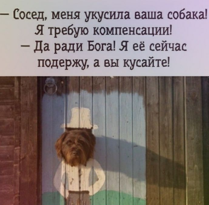 Сосед меня укусила ваша собака Я требую компенсации да ради Бога Я её сейчас подержу а вы кусайте
