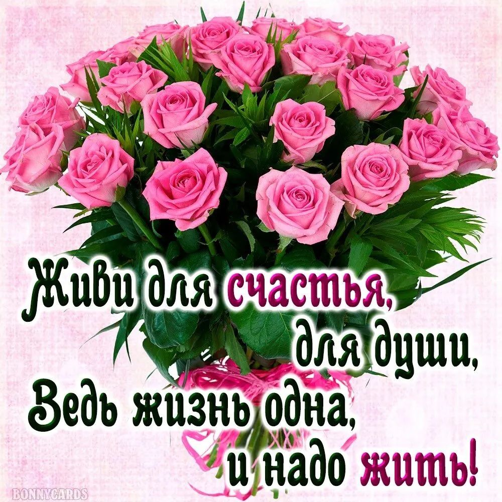 Зедъ жизнфодна щъіадо жишъі