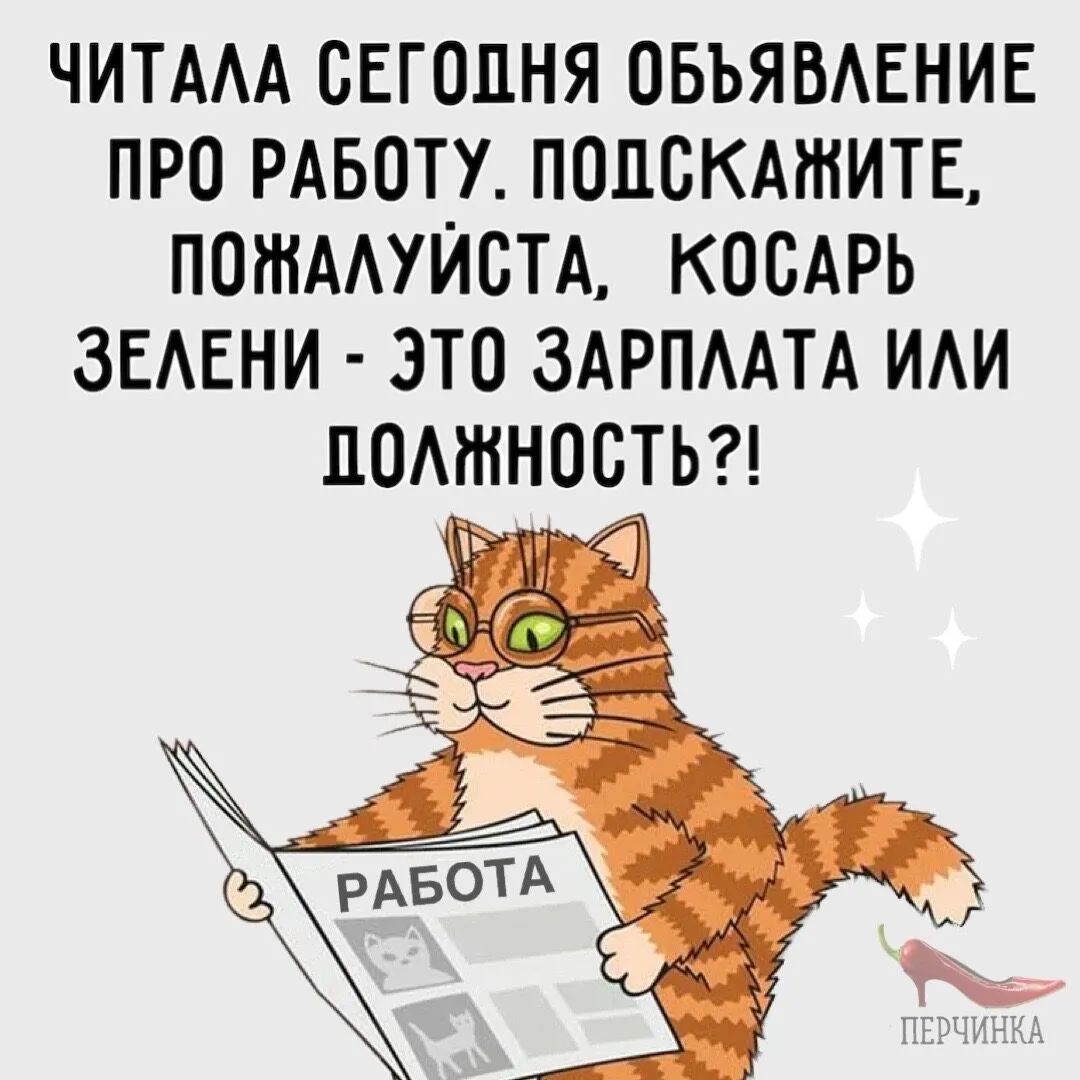 ЧИТААА СЕГОДНЯ ОБЬЯВАЕНИЕ ПРО РАБОТУ ПОДСКАЖИТЕ ПОШААУЙСТА КОСАРЬ ЗЕАЕНИ ЭТП ЗАРПААТА ИАИ ЦОАШНОСТЬ