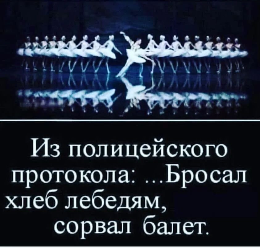 Из полицейского протокола Бросал хлеб лебедям сорвал балет