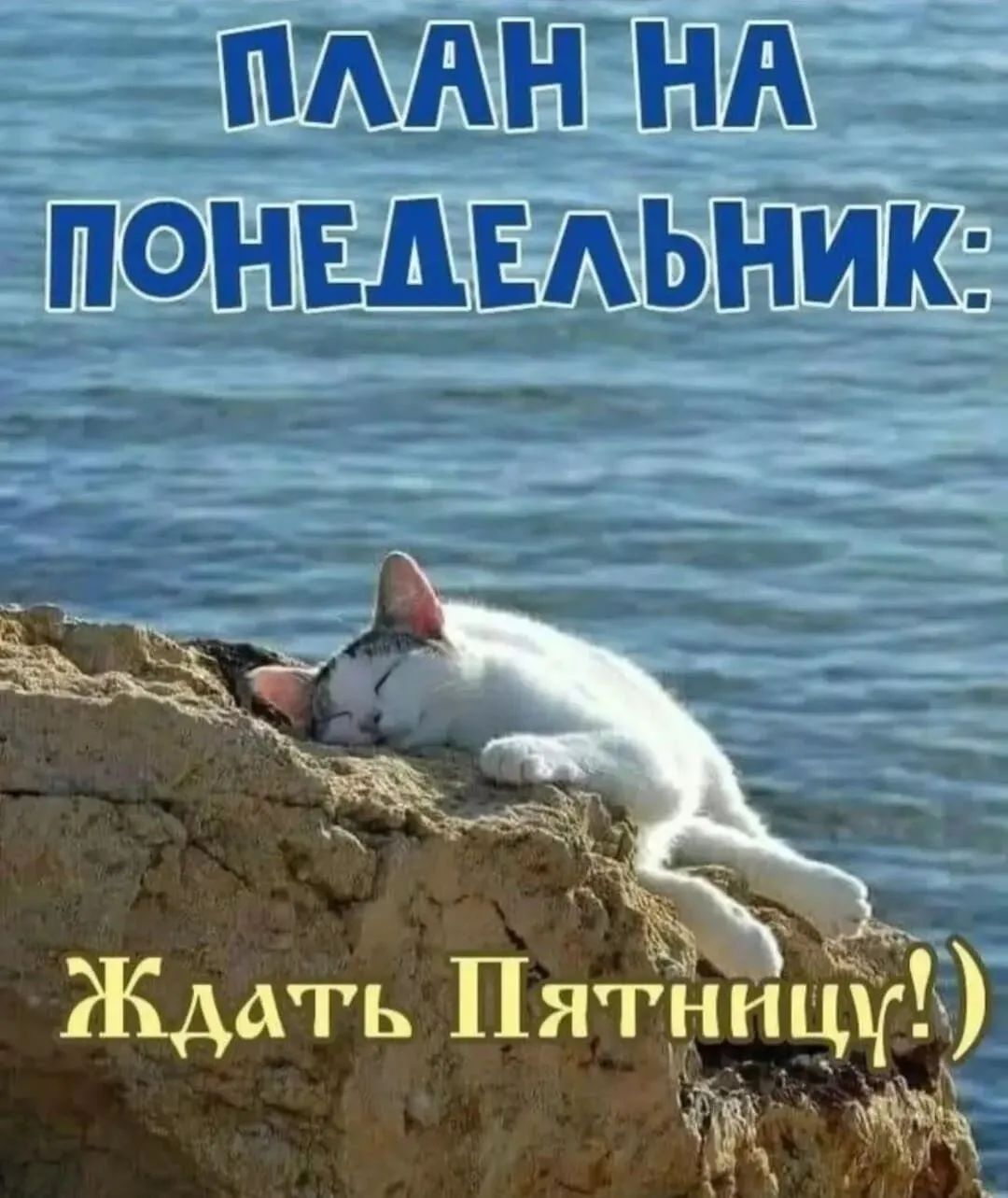 ать Пятнифг жд