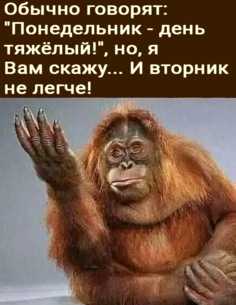 обычно говорят Понедельник день тяжёлый но я Вам скажу И вторник не легче