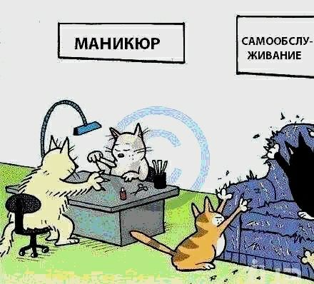 САМООБСПУ ЖИБАНИЕ