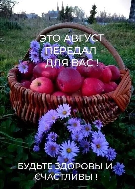 СЧА ЛИВЫ