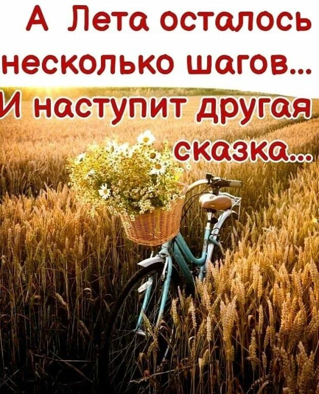 А Лета осталось несколько шагов Ю нас ушитщругая