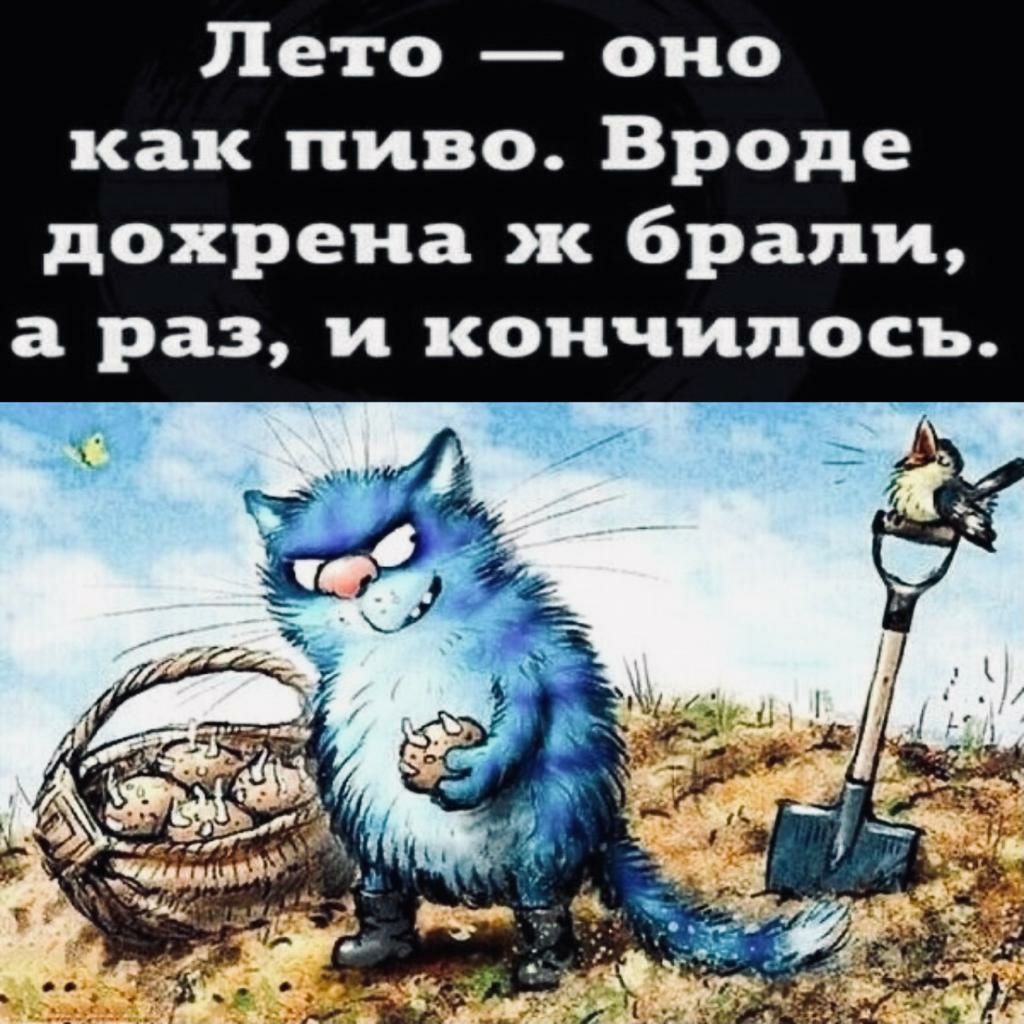 День вроде