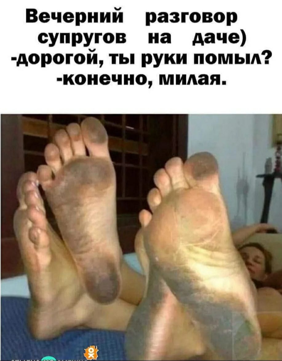 Вечерний разговор супругов на даче дорогой ты руки помыл коиечно милая