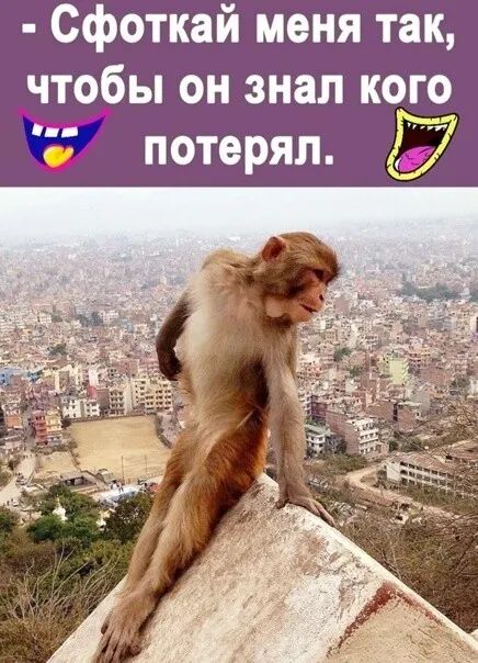 Сфоткай меня так чтобы он знал кого 7 потерял