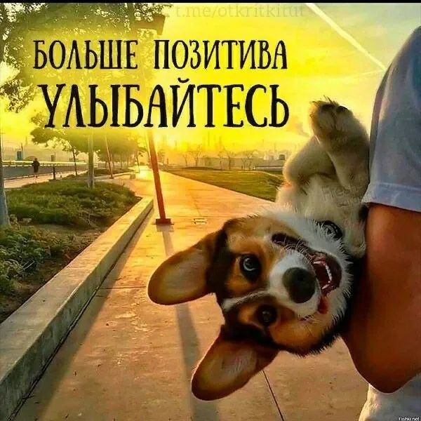 ОАЬШЕЬЧЗИТИЬА УАЫБАИТЕСЬ