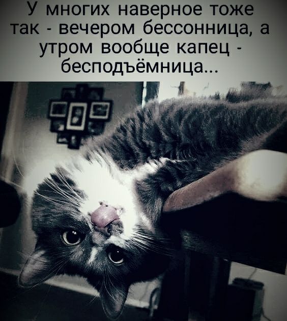 ногих наверное то вечером бессонница утром вообще капец бесподъёмница