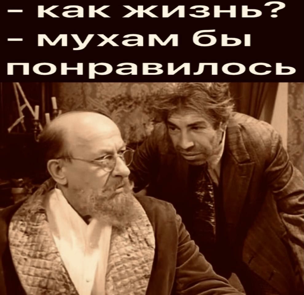 как жизнь мухам бы понравилось