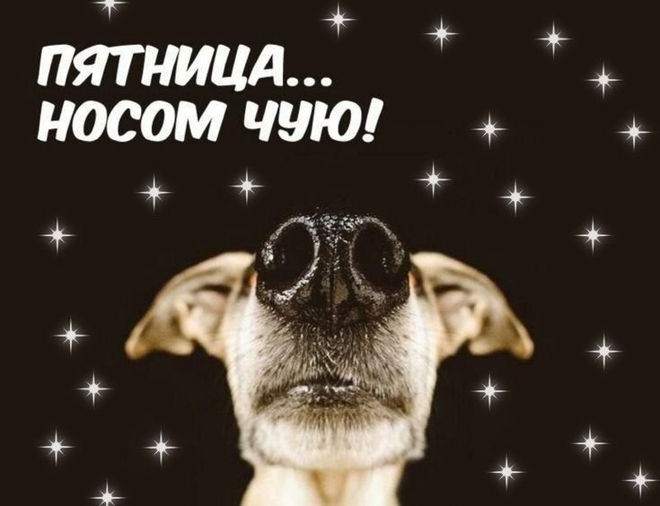 носом ЧНЮ