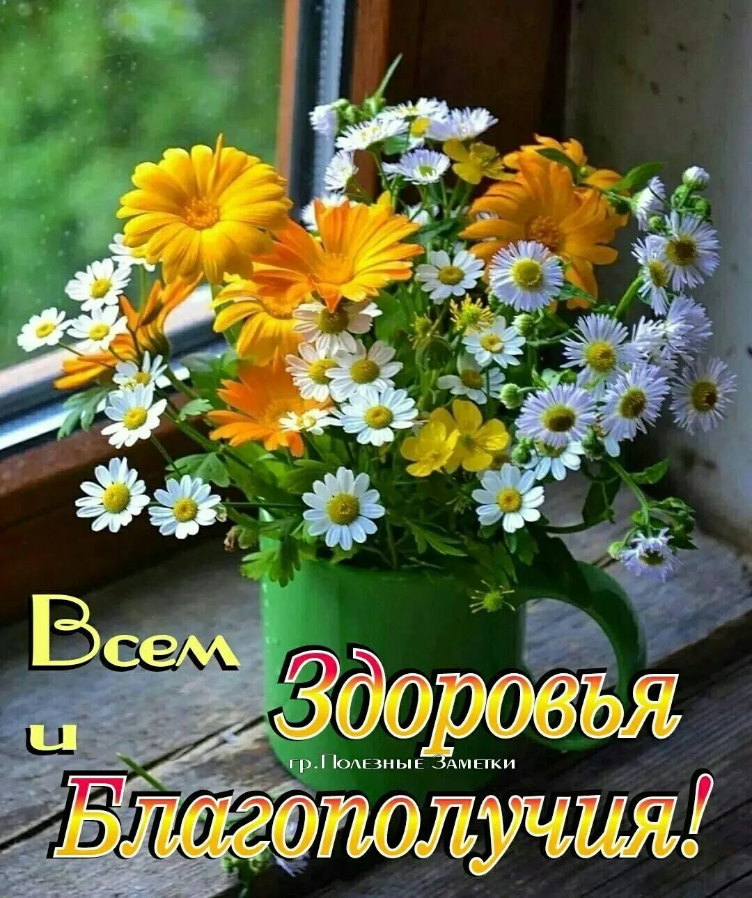 ддт _ лучия