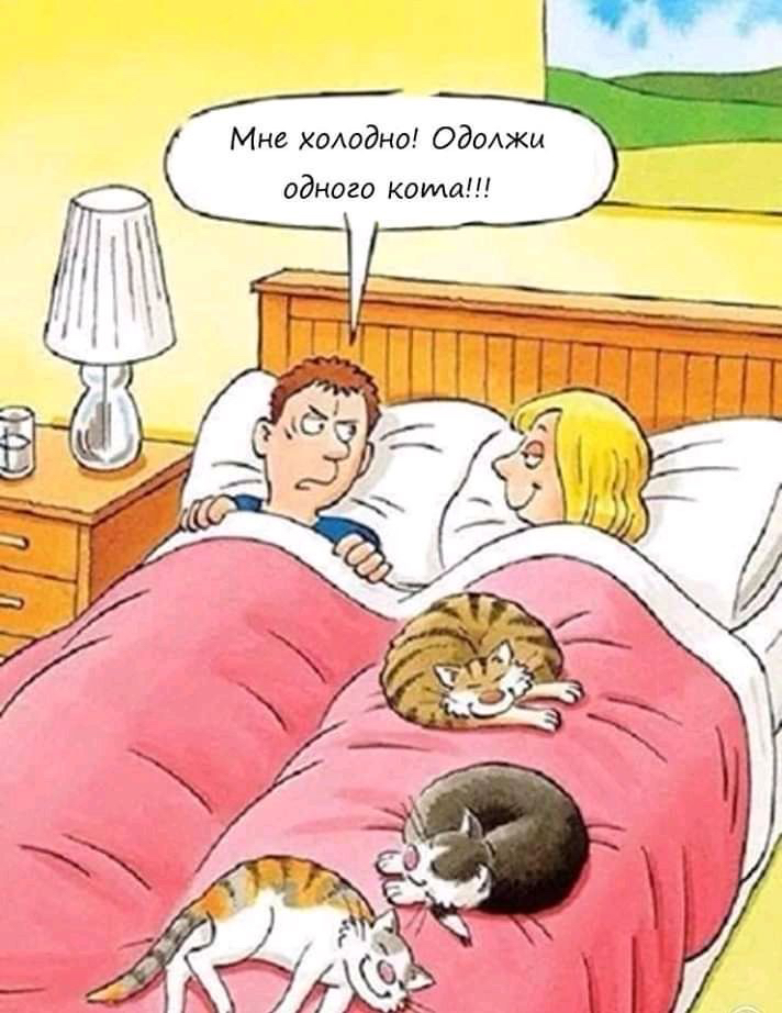 __ Мн холодно Оданкп одним Квила