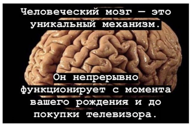 Человеческий МОЗГ _ это уникальным механизм Он непрерывно функционирует с момента вашего рождения и до ПОКУПКИ телевизора
