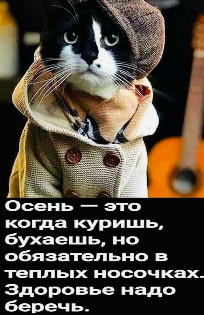 сень это когда куришь бухаешь но обязательно в теплых носочках Здоровье надо беречь