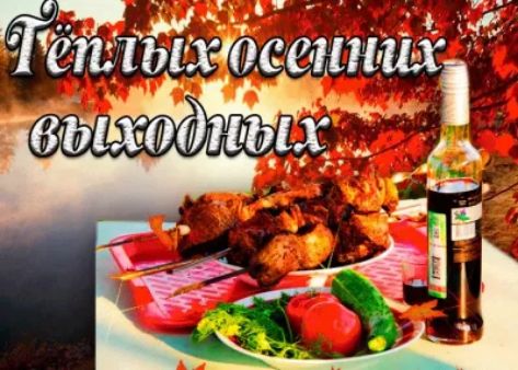 Р гТцеплыхлосенних вьанжшх