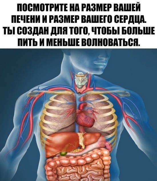 ППСМПТРИП А РАЗМЕР ВАШЕЙ ЕЧЕИ И РАЗМЕР ВАШЕШ БЕРДЦА ТЫ ВПЗДАИ дпп ШШ ППБЫ БВПЪШЕ И И МЕНЬШЕ ВППНВВАТЬВП
