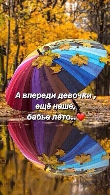 идев 6 63