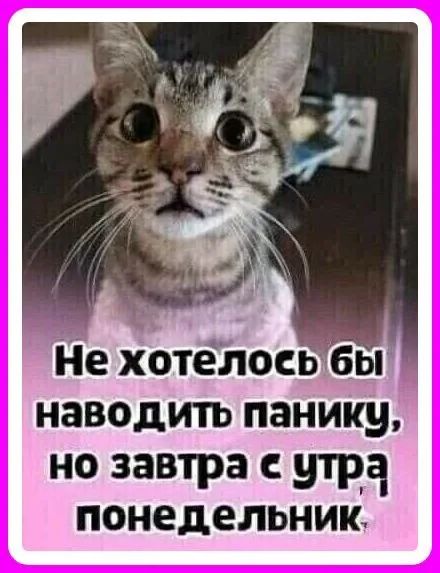 йе хотёлосьёбы наводить панику НО завтра С уТрч ПОНЕДЕЛЬНИК