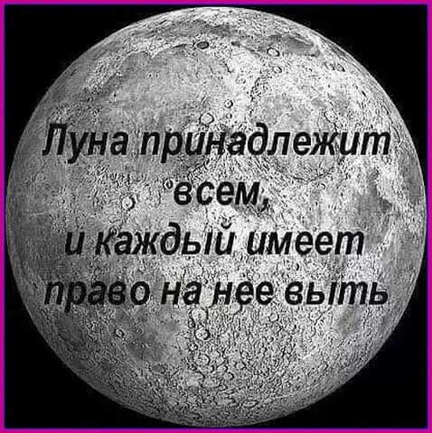 сем Каждыиимеет
