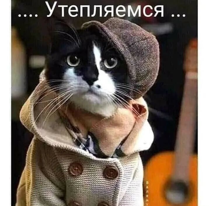 Утепдяемся