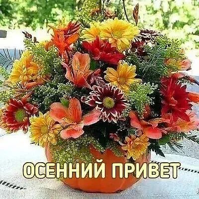 Е НИИ ПРИВЕТ