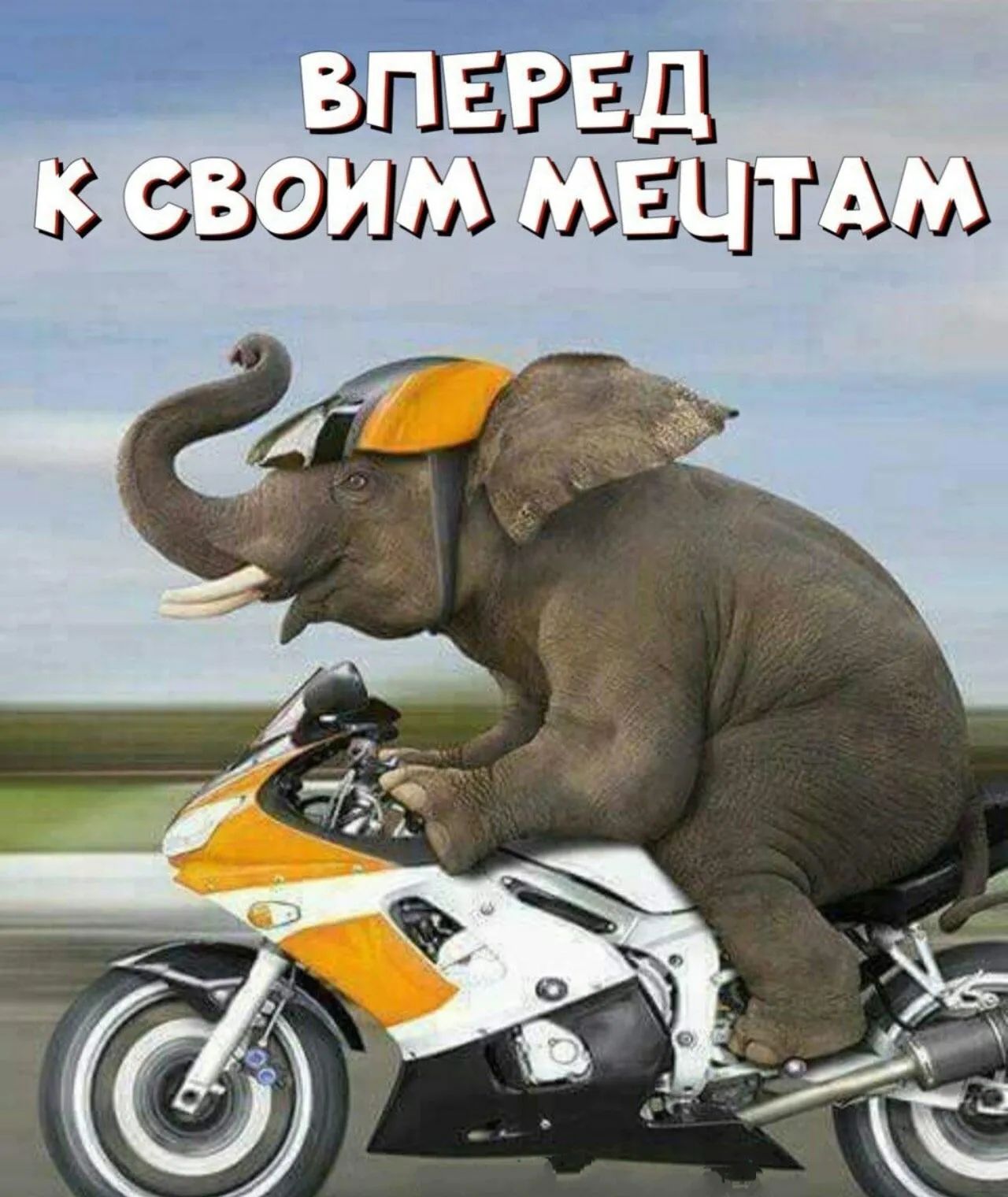 ЁБПЁРР Д 4 55951413 Ъ _ПАЩ