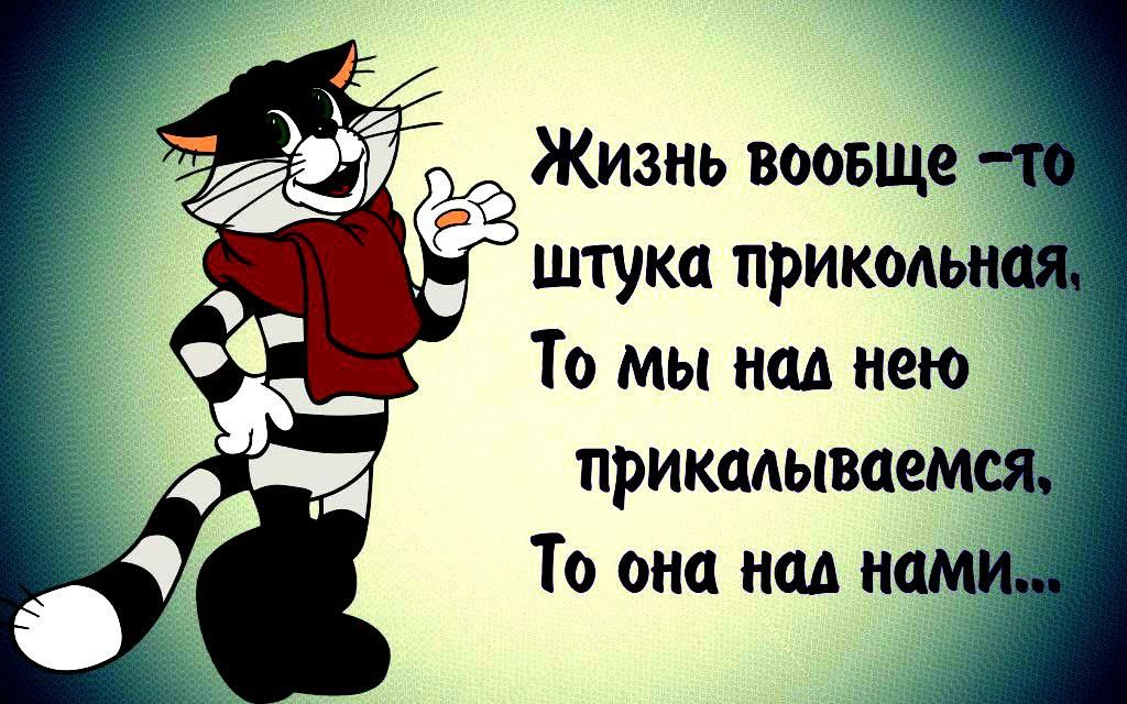 Жизнь вообще _ штука приколы То мы над нею прикмывпемсі