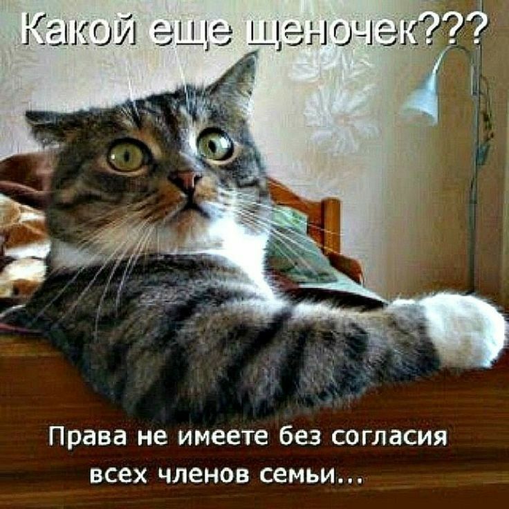 Права не имеете без согласия всех членов семьи