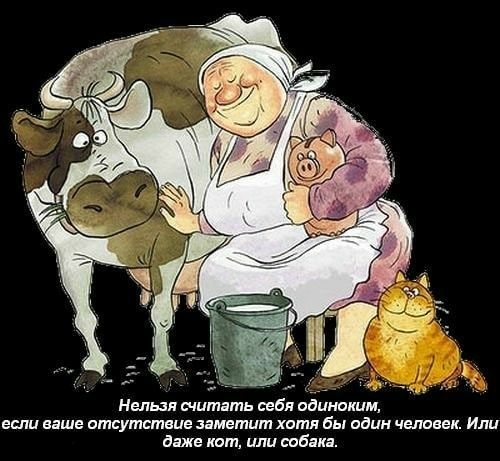 вши ншв отсутствие заметит хотя Бы адин чет ви и даже кот шт саит