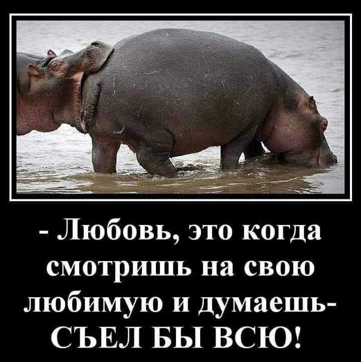 Любовь это когда смотришь на свою любимую и думаешь СЪЕЛ БЫ ВСЮ