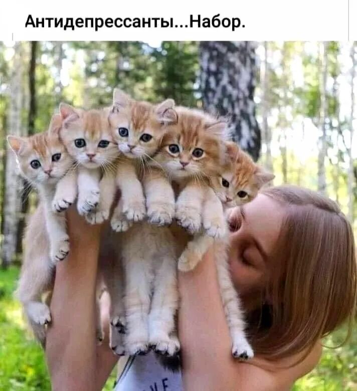Антидепрессанты