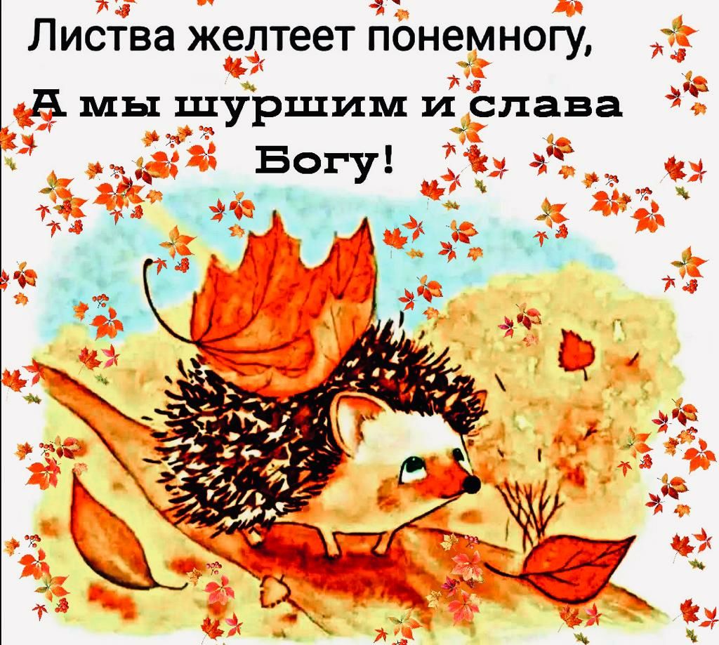 Листва желтеет П0Н6_МН0ГУ А мы шуршим иіслава Богу