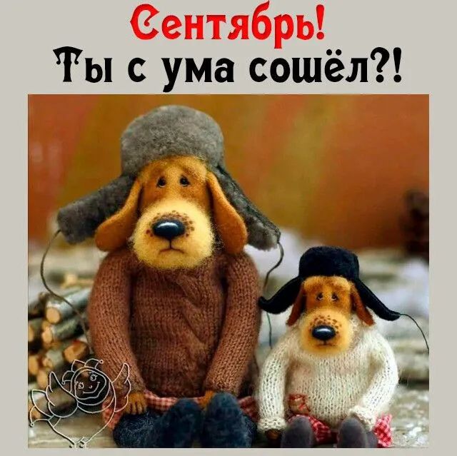 Ты с ума сошёл
