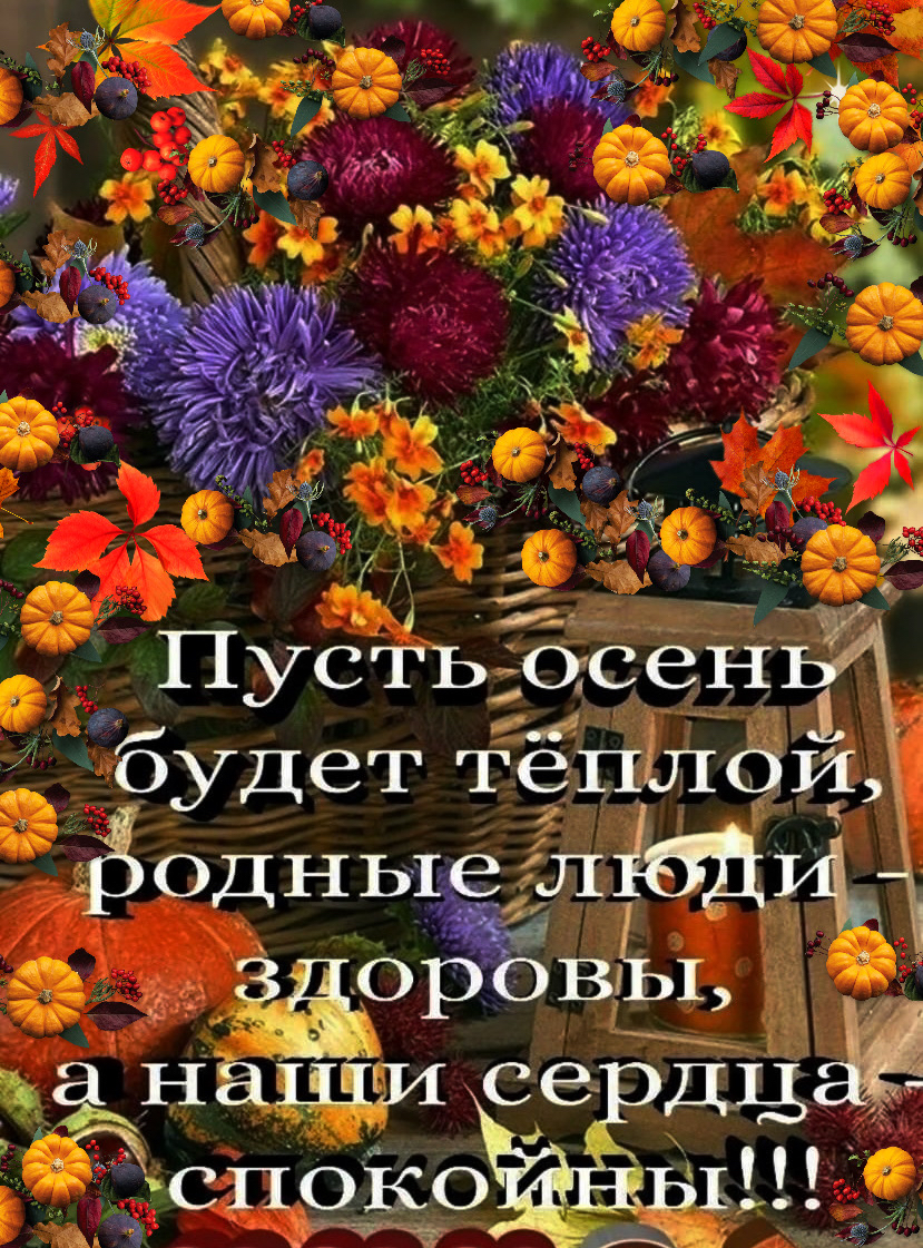 путь дан будет ТЁПЫСЭЙ адОДНЬЁЛЬДЪЪ а ЁЁЁЖИ се лёг сирко