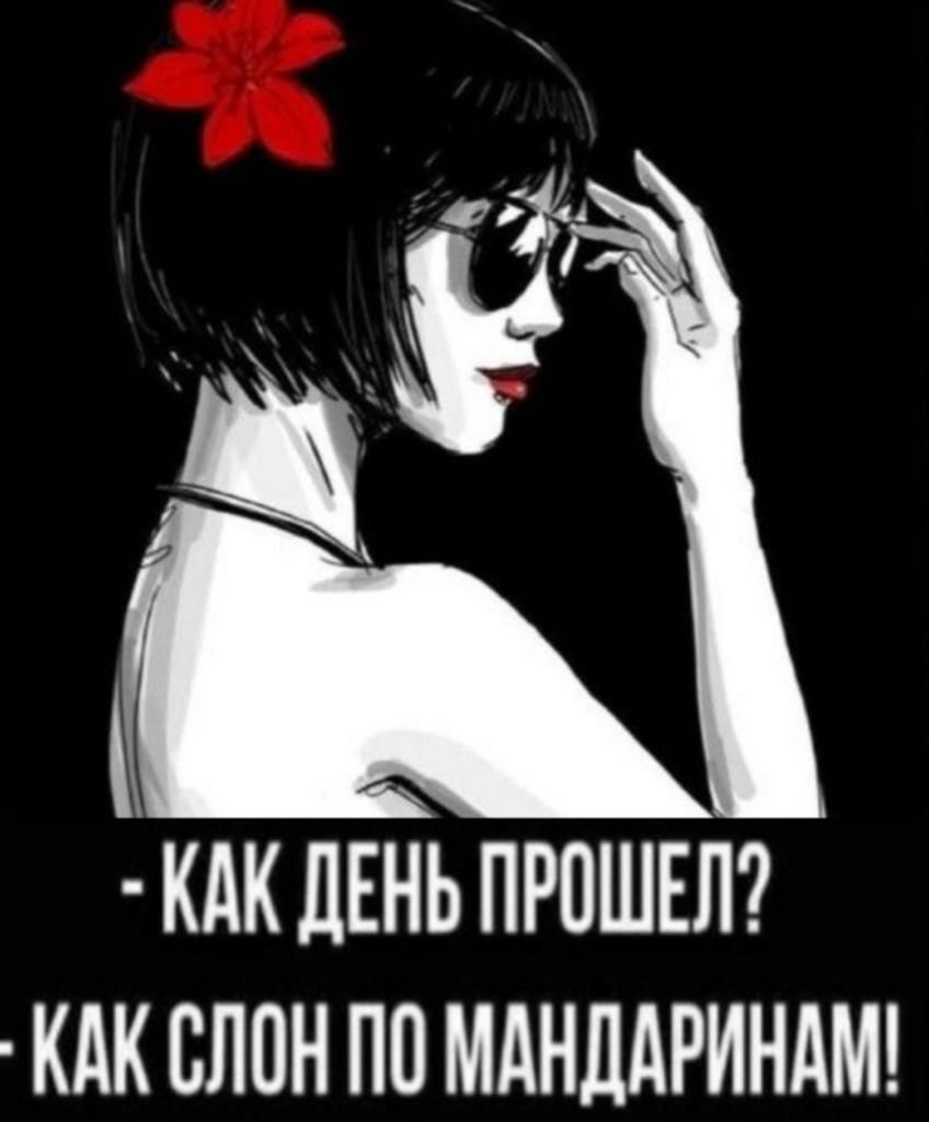 да _ КАК ЛЕНЬ ПРОШЕЛ КАК СЛОН ПО МАНДАРИНАМ