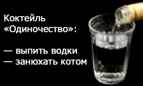 Коктейль Одиночество _ ВЫПИТЬ ВОДКИ _ ЗЗНЮХЗТЬ КОТОМ