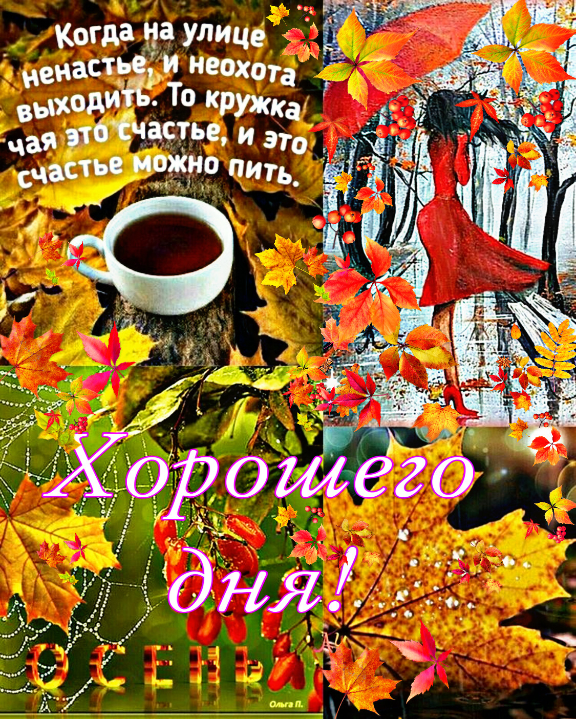 Когда на улиц нац Ци Ё То круиз часть и от 79 Ить
