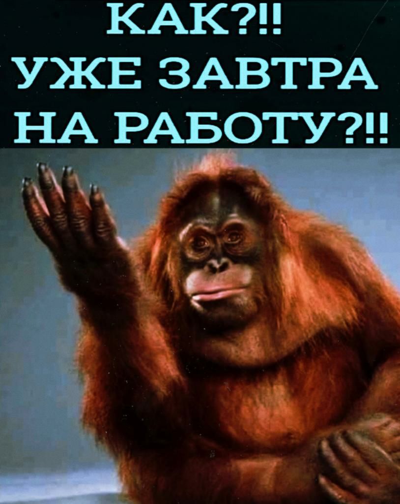 КАК УЖЕ ЗАВТРА НА РАБОТУ г