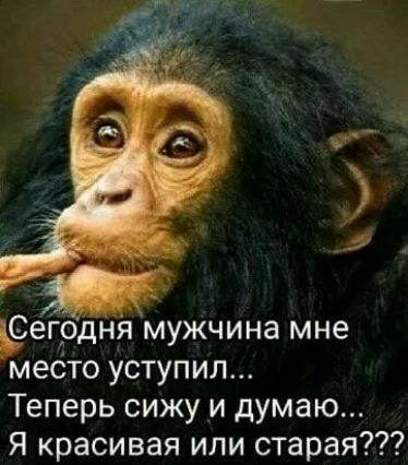 ъСегрня мужчина мне место уступил Теперь сижу и думаю Я красивая или старая
