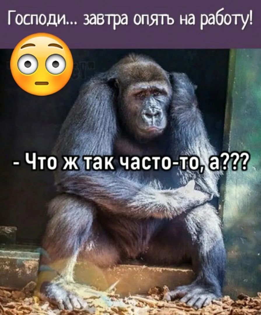 Гошоди завтра опять на работуі о о _ Ё ъ за _ а