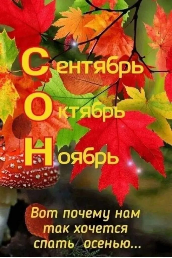 так хочется Вот почему Нам сдаты с_енью