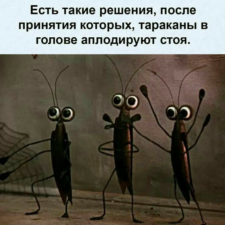Есть такие решения после принятия которых тараканы В голове аплодируют стоя