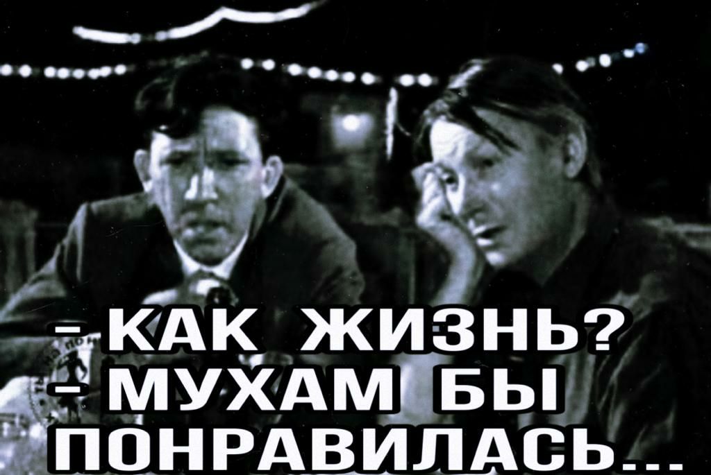 СЁКАК жизнь Муйдмлвьп ПОНРАВИЛАСЬ