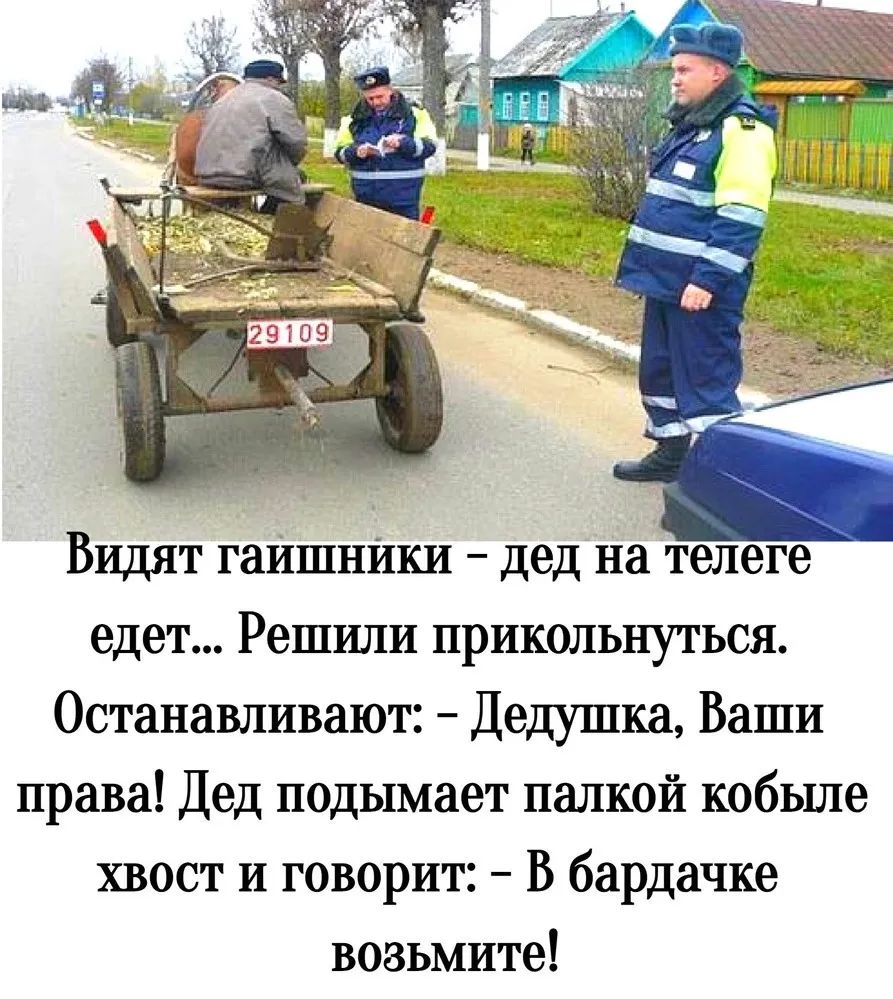 Видят гаИшиИки дед на телеге едет Решили прикольнуться Останавливает Дедушка Ваши права Дед подымает палкой кобьше хвост и говорит В бардачке возьмите