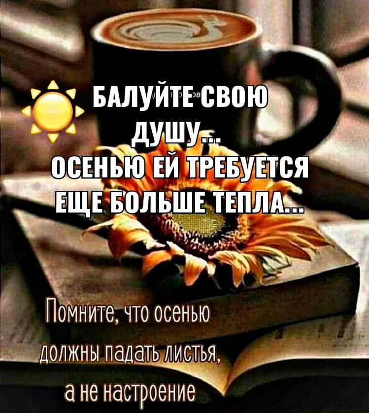 _ _ ышуйтт свою дУШ Уч отійбтит ЕТ ЕЩЕ Больштё т ли С ПОМните что осенью должны падать листья не настроение